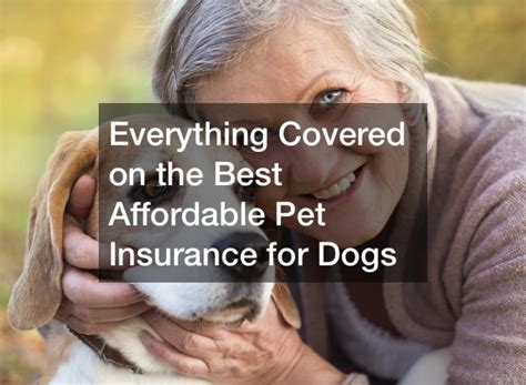 affordable dog insurance for seniors.